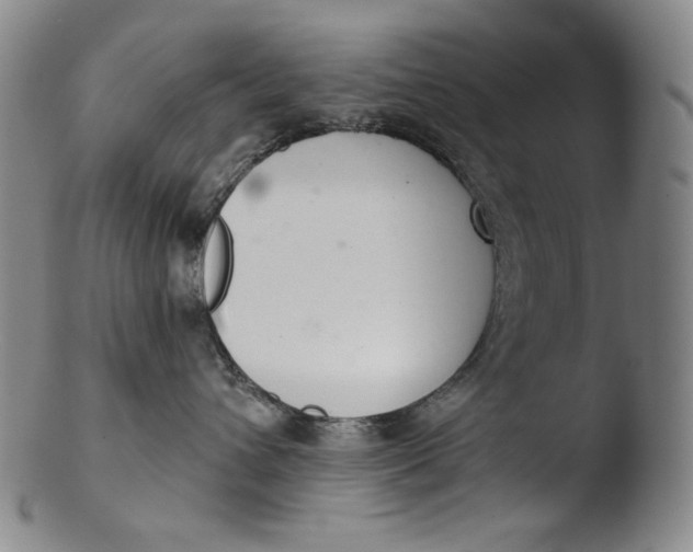 X0000103440432200809261758