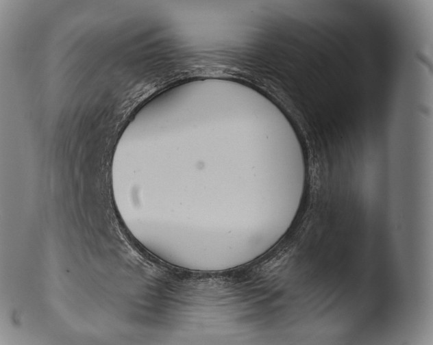 X0000103440433200809261757