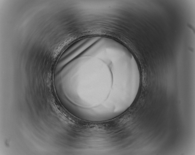 X0000103440434200809261757