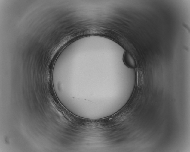 X0000103440435200809261757