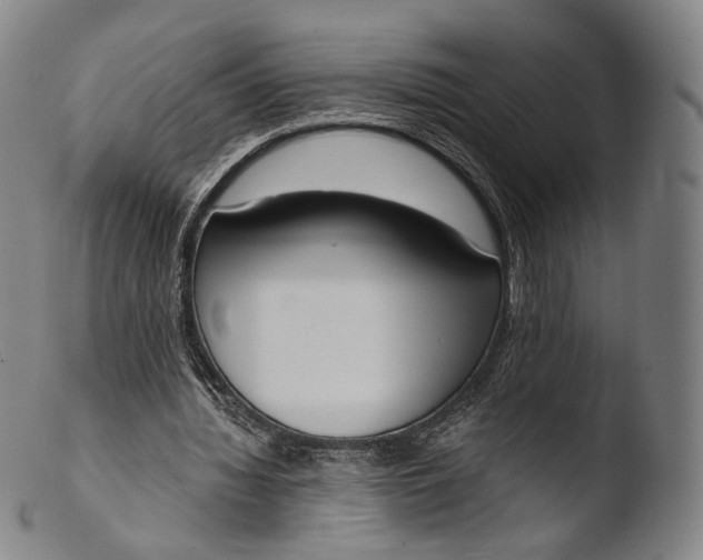 X0000103440436200809261757