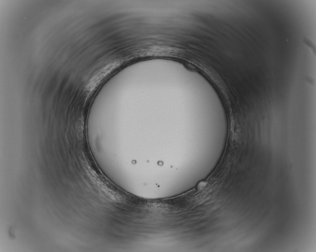 X0000103440437200809261757