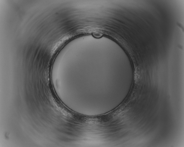 X0000103440438200809261757