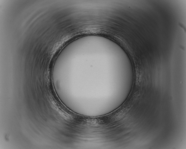 X0000103440439200809261757