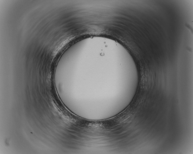 X0000103440440200809261757