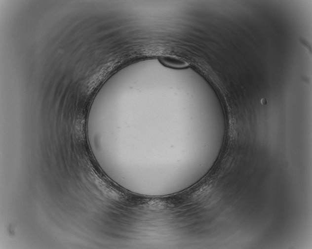 X0000103440441200809261757