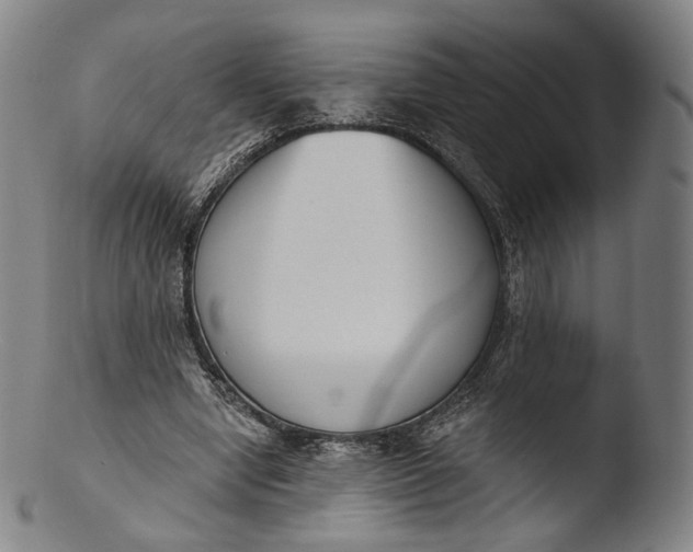 X0000103440442200809261757