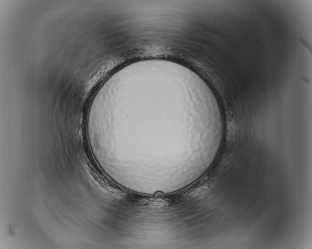 X0000103440443200809261757