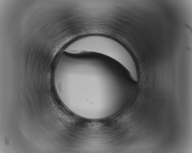 X0000103440444200809261757