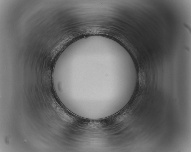 X0000103440445200809261757