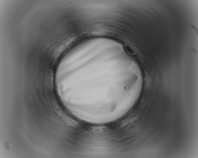 X0000103440446200809261757