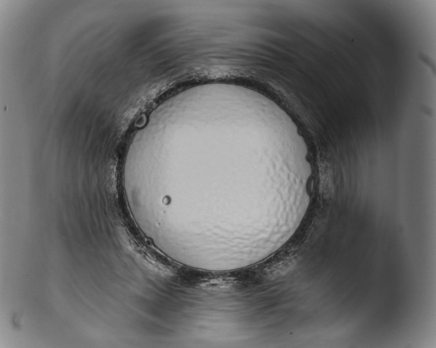 X0000103440447200809261757