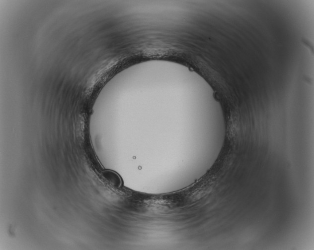 X0000103440448200809261757