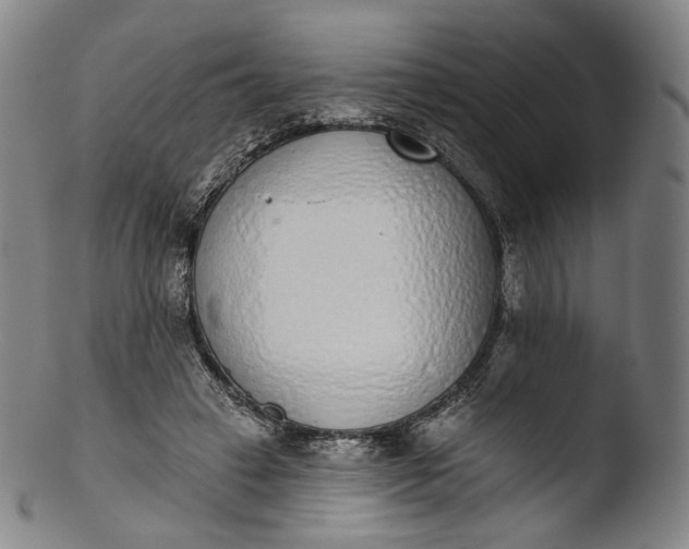 X0000103440449200809261757