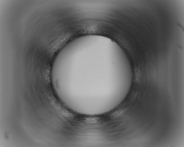 X0000103440450200809261757