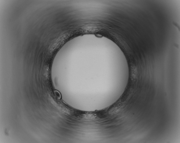 X0000103440451200809261758