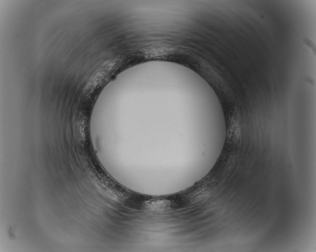 X0000103440452200809261758