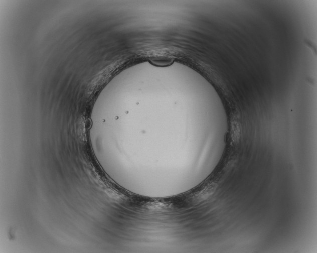 X0000103440453200809261758