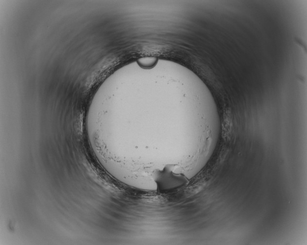 X0000103440454200809261758