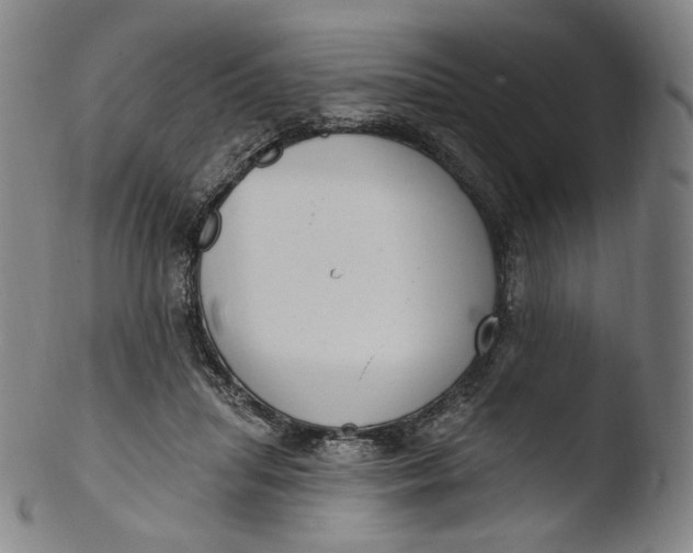 X0000103440455200809261758