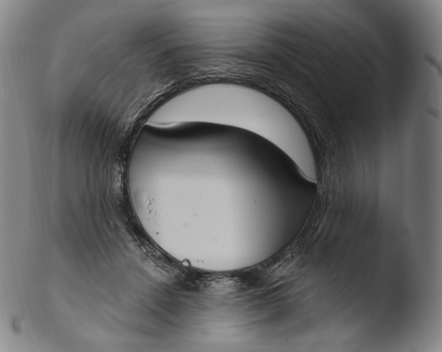 X0000103440456200809261758