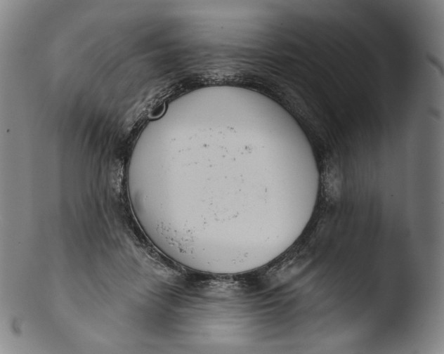 X0000103440458200809261758