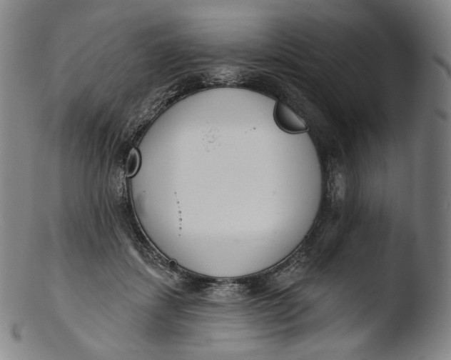 X0000103440459200809261758