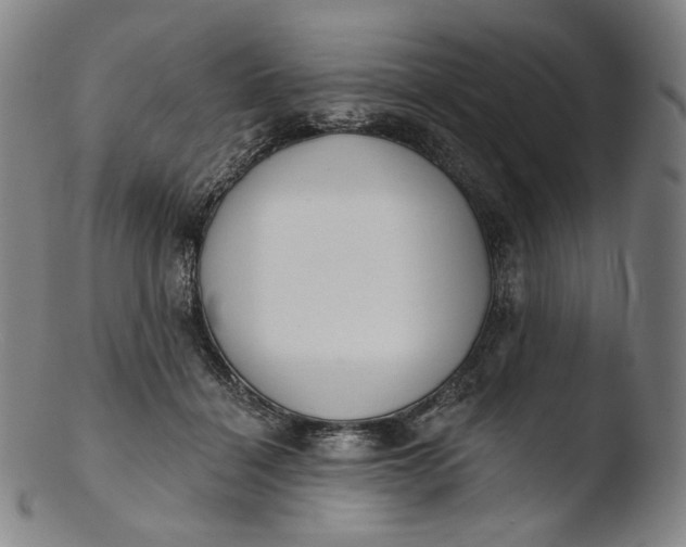 X0000103440460200809261758