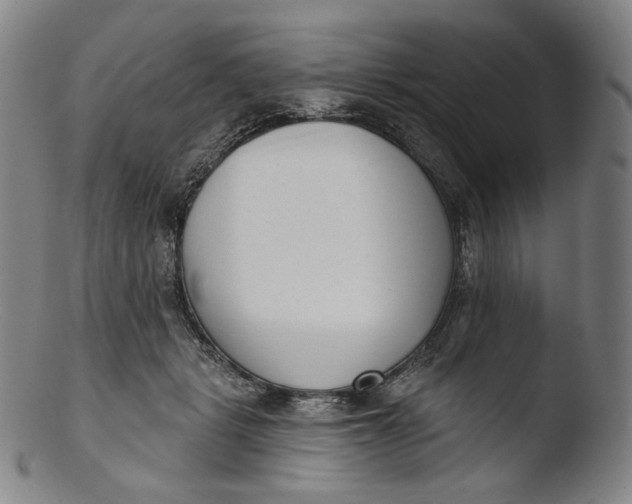 X0000103440461200809261758