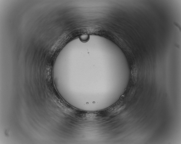 X0000103440462200809261758