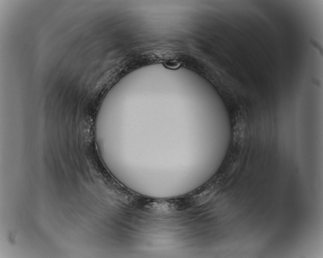 X0000103440464200809261758