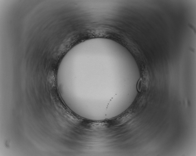 X0000103440465200809261758