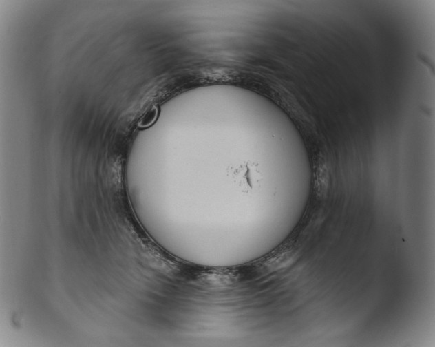 X0000103440466200809261758