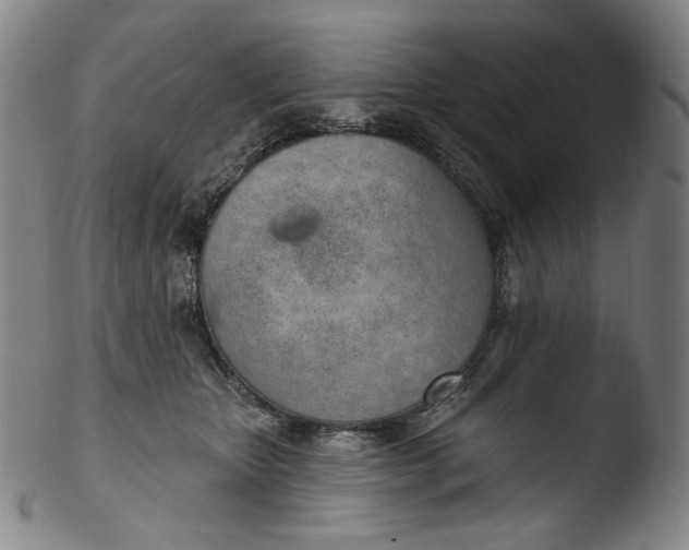 X0000103440467200809261758