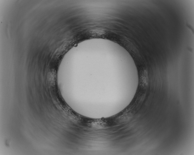 X0000103440468200809261758