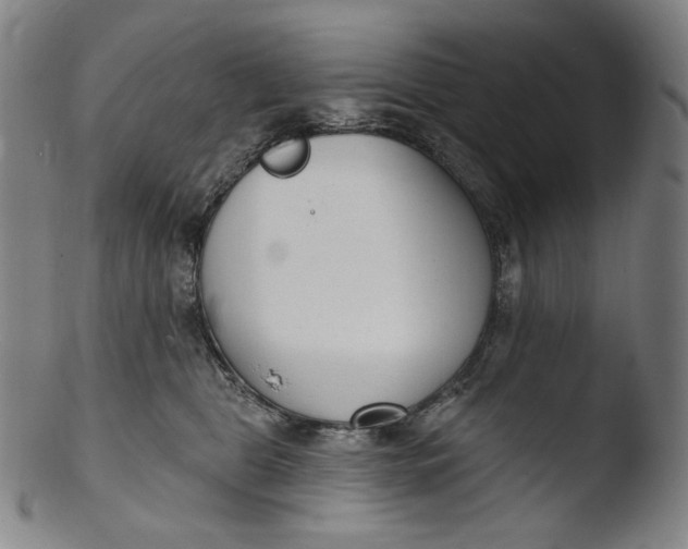 X0000103440469200809261758