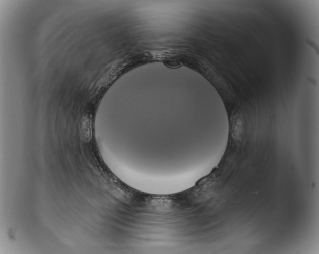 X0000103440471200809261758