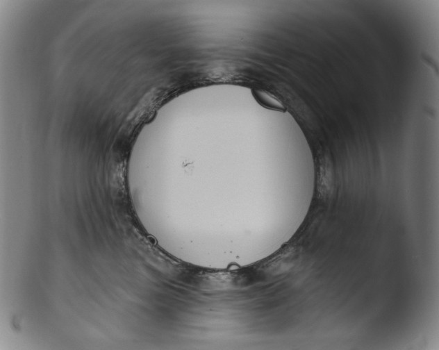 X0000103440473200809261758