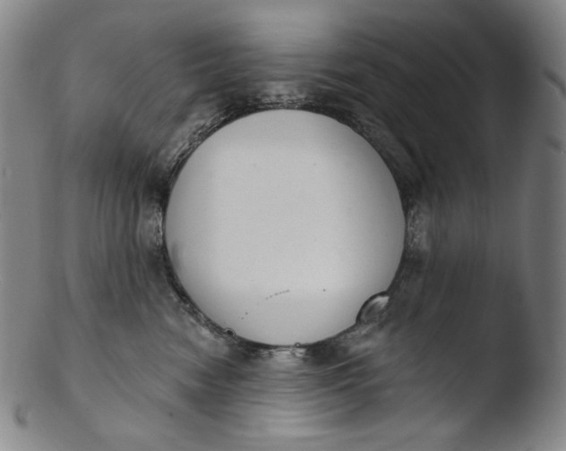 X0000103440474200809261758
