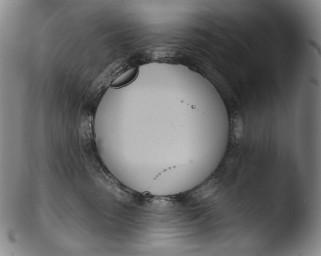 X0000103440475200809261758