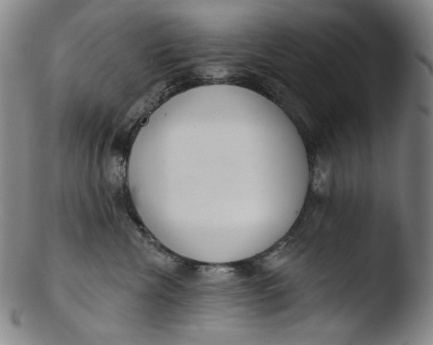 X0000103440476200809261758