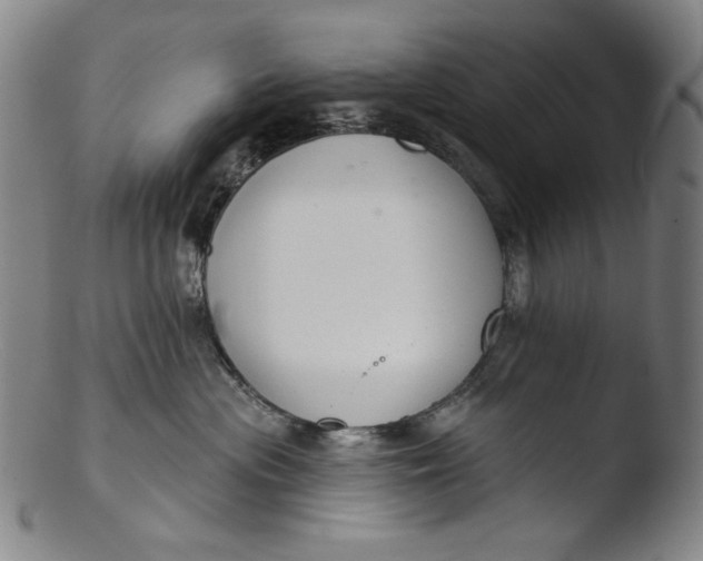 X0000103440477200809261758