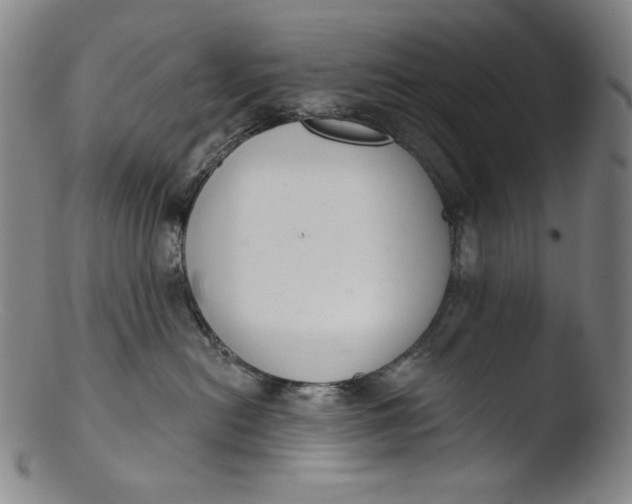 X0000103440478200809261758