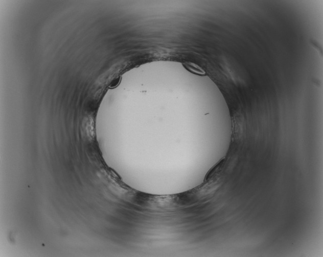X0000103440479200809261758