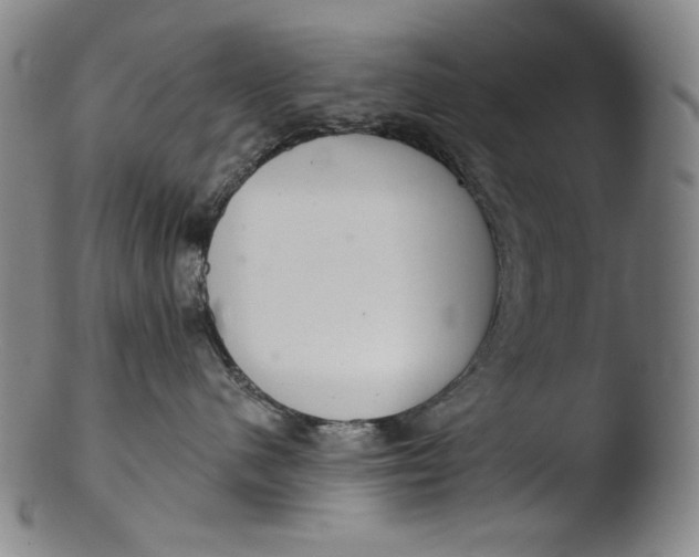 X0000103440480200809261758