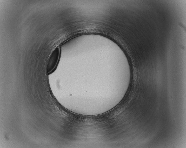 X0000103440481200809261757