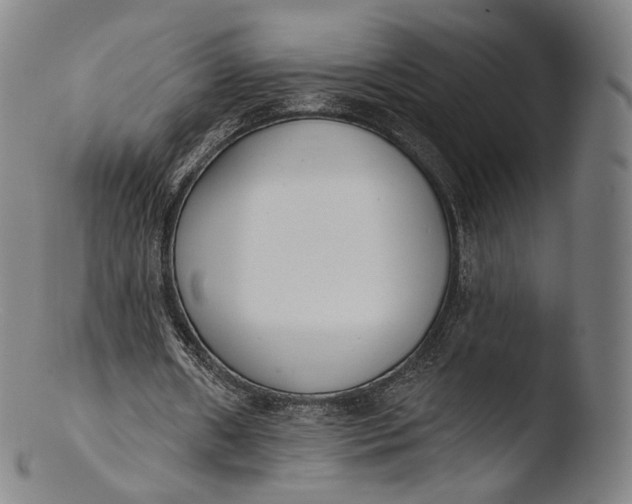 X0000103440482200809261757