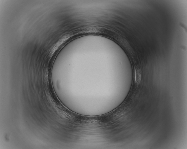 X0000103440483200809261757