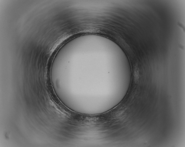 X0000103440484200809261757