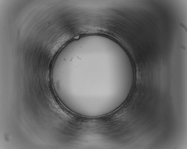 X0000103440485200809261757
